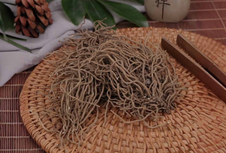 金顶药业企业介绍