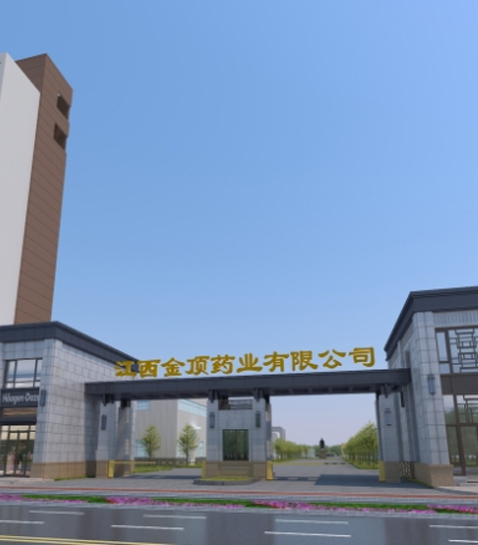 金顶药业企业介绍