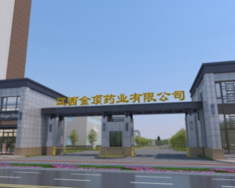 金顶药业企业介绍