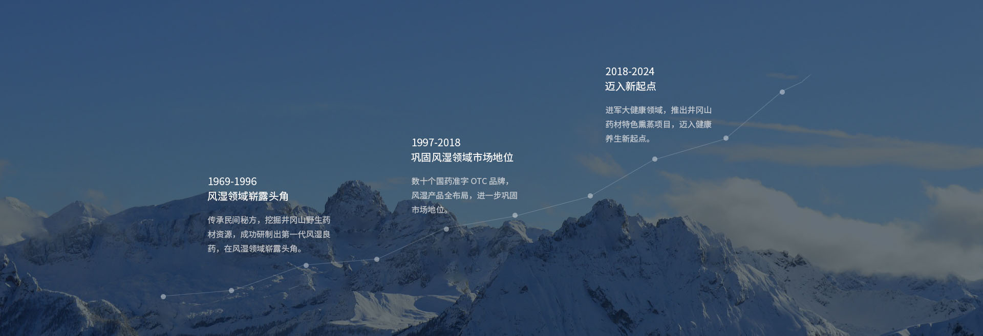 金顶药业企业介绍