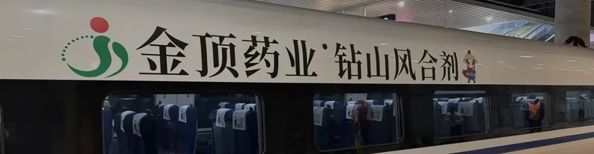 金顶药业banner