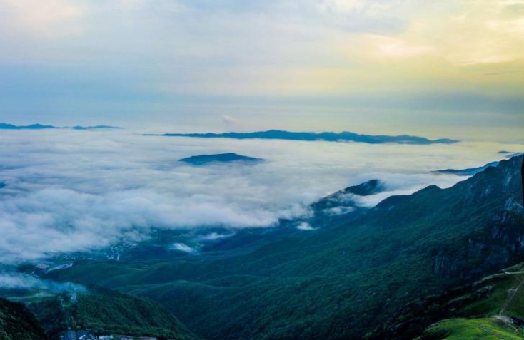 金顶钻山风合剂