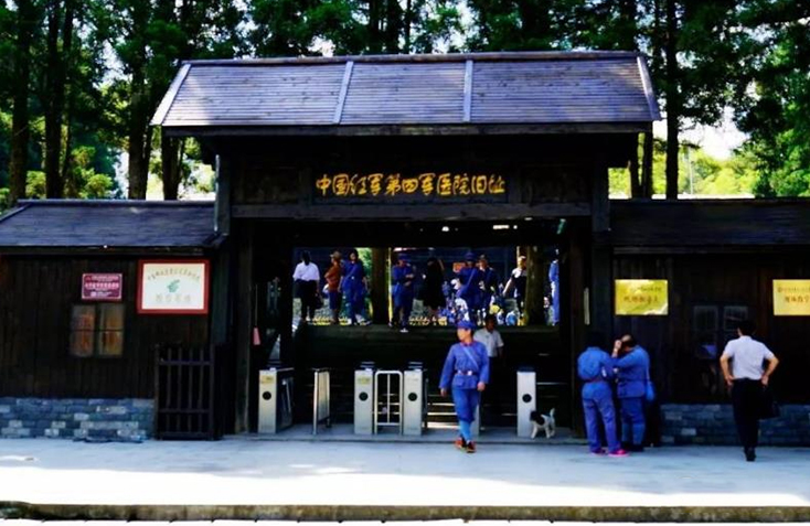 金顶钻山风合剂