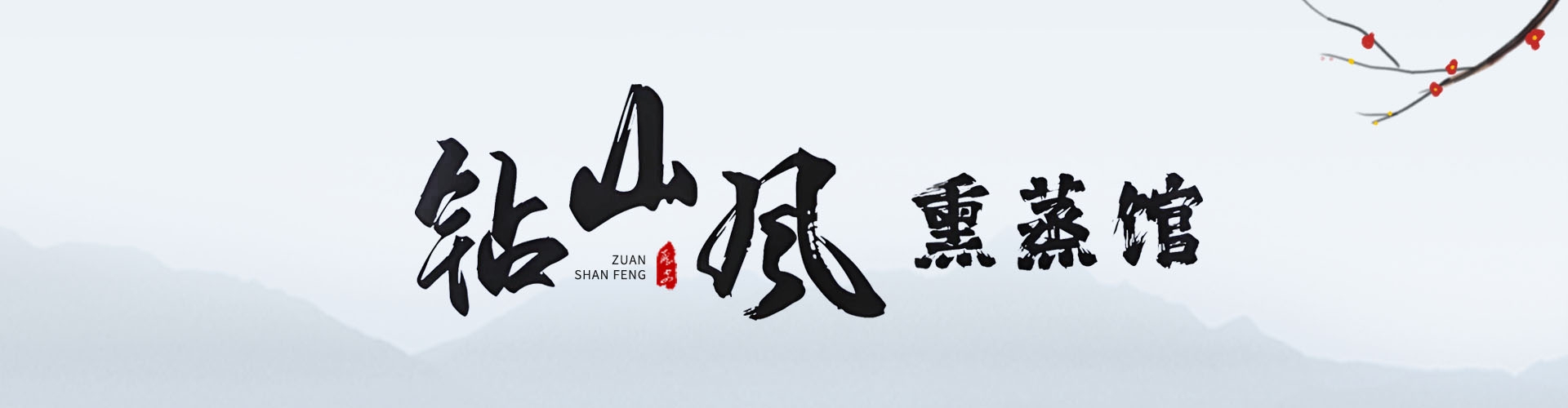 金顶药业banner